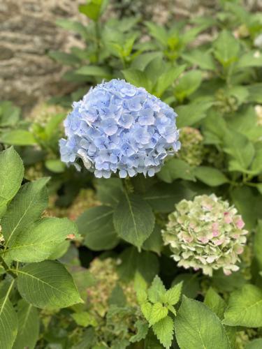 Gîte La Mancellière