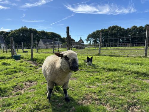 Gîte La Mancellière