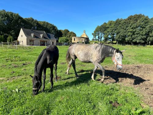 Gîte La Mancellière