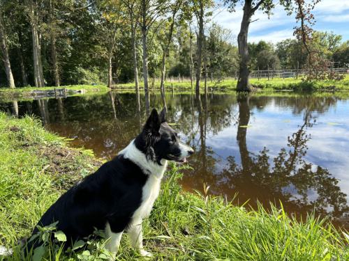 Gîte La Mancellière